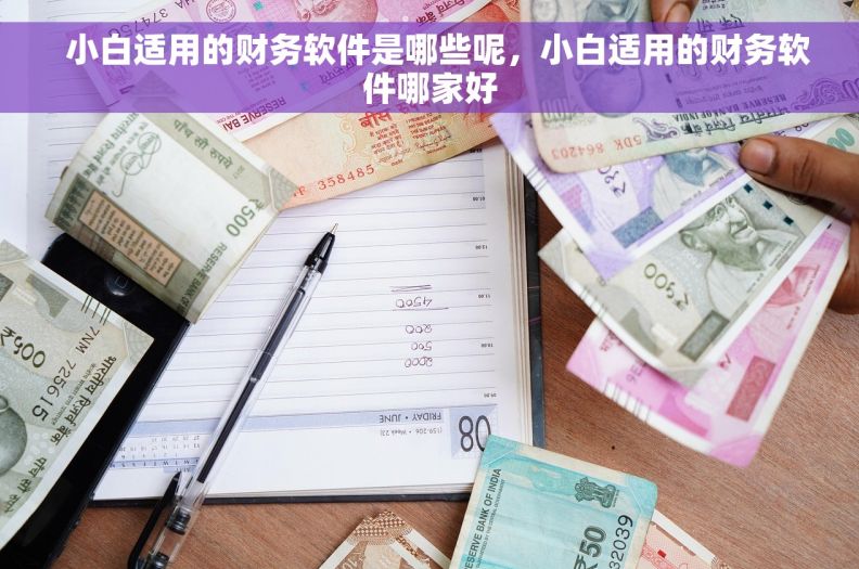   小白适用的财务软件是哪些呢，小白适用的财务软件哪家好