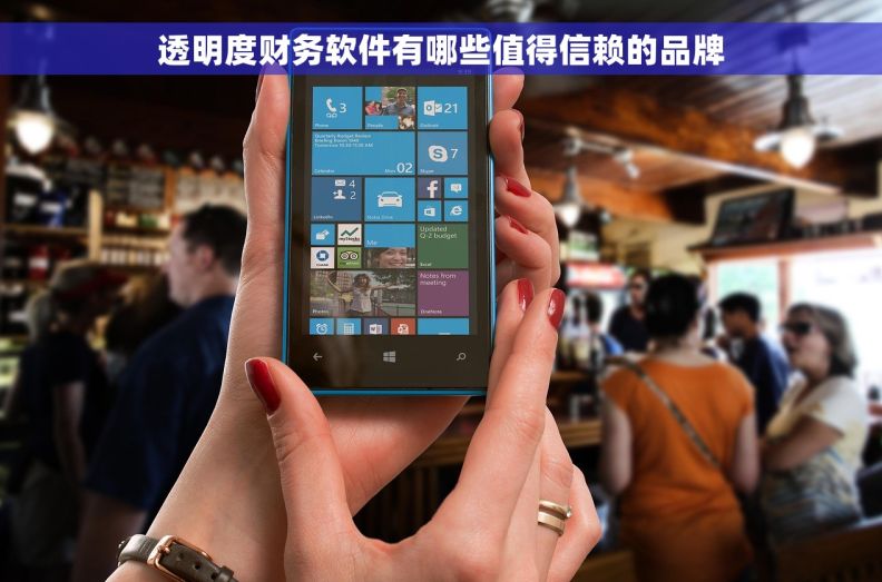 透明度财务软件有哪些值得信赖的品牌