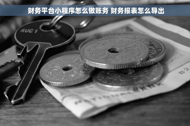  财务平台小程序怎么做账务 财务报表怎么导出