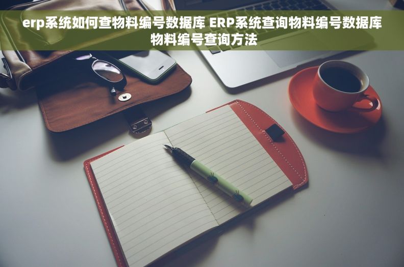 erp系统如何查物料编号数据库 ERP系统查询物料编号数据库 物料编号查询方法