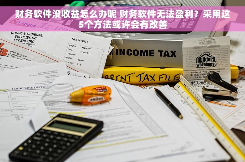 财务软件没收益怎么办呢 财务软件无法盈利？采用这5个方法或许会有改善