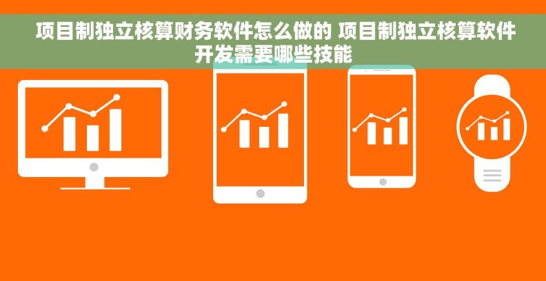  项目制独立核算财务软件怎么做的 项目制独立核算软件开发需要哪些技能