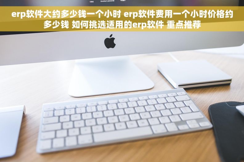 erp软件大约多少钱一个小时 erp软件费用一个小时价格约多少钱 如何挑选适用的erp软件 重点推荐