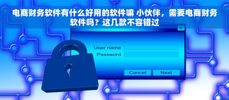 电商财务软件有什么好用的软件嘛 小伙伴，需要电商财务软件吗？这几款不容错过