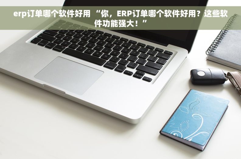 erp订单哪个软件好用 “你，ERP订单哪个软件好用？这些软件功能强大！”