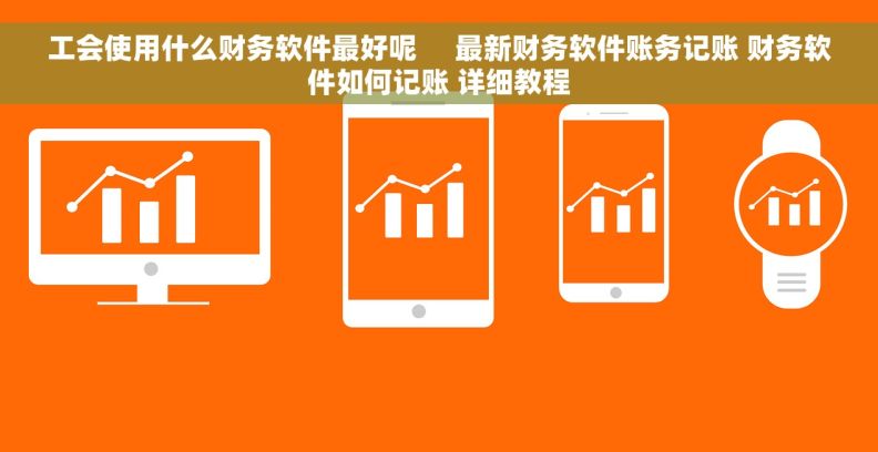 工会使用什么财务软件最好呢     最新财务软件账务记账 财务软件如何记账 详细教程