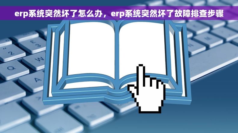erp系统突然坏了怎么办，erp系统突然坏了故障排查步骤