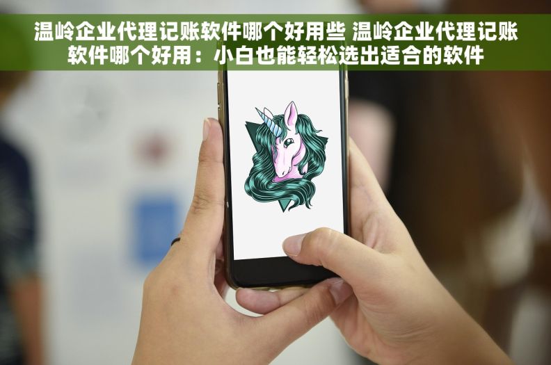 温岭企业代理记账软件哪个好用些 温岭企业代理记账软件哪个好用：小白也能轻松选出适合的软件