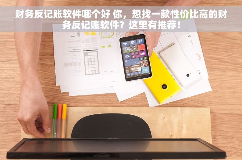 财务反记账软件哪个好 你，想找一款性价比高的财务反记账软件？这里有推荐！