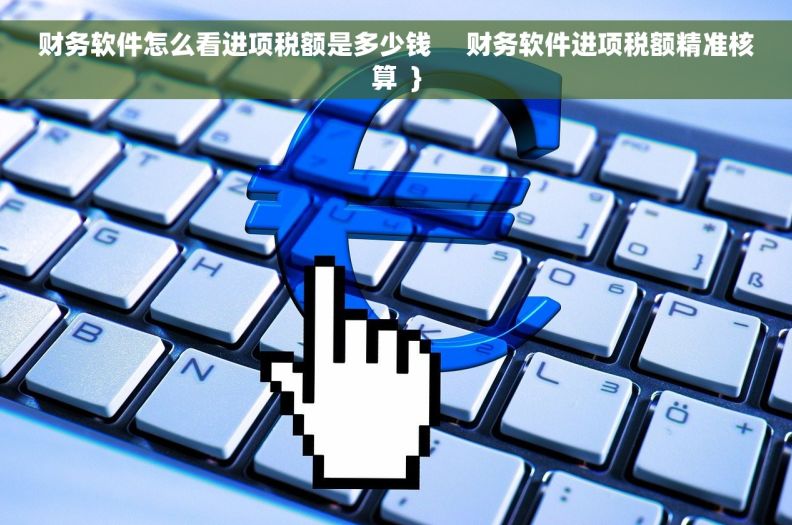 财务软件怎么看进项税额是多少钱     财务软件进项税额精准核算  }