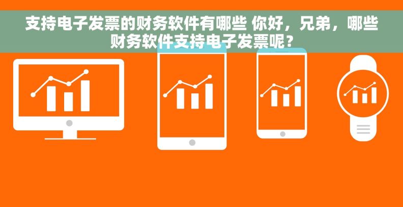 支持电子发票的财务软件有哪些 你好，兄弟，哪些财务软件支持电子发票呢？