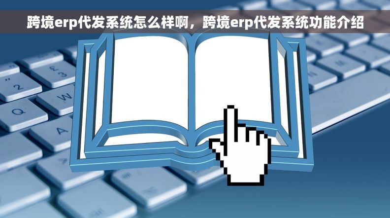 跨境erp代发系统怎么样啊，跨境erp代发系统功能介绍