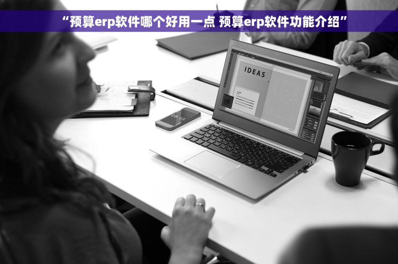 “预算erp软件哪个好用一点 预算erp软件功能介绍”