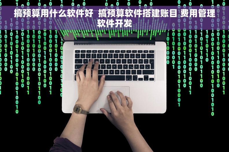 搞预算用什么软件好  搞预算软件搭建账目 费用管理软件开发