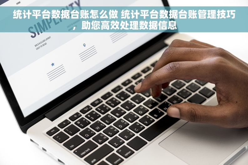 统计平台数据台账怎么做 统计平台数据台账管理技巧，助您高效处理数据信息