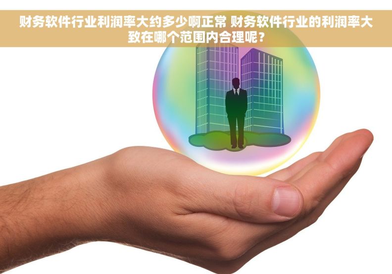 财务软件行业利润率大约多少啊正常 财务软件行业的利润率大致在哪个范围内合理呢？