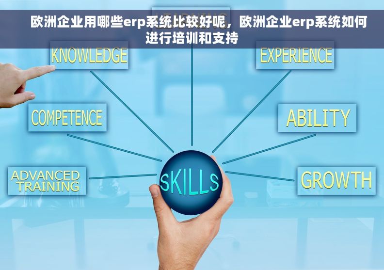     欧洲企业用哪些erp系统比较好呢，欧洲企业erp系统如何进行培训和支持