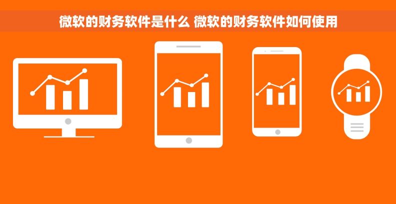 微软的财务软件是什么 微软的财务软件如何使用