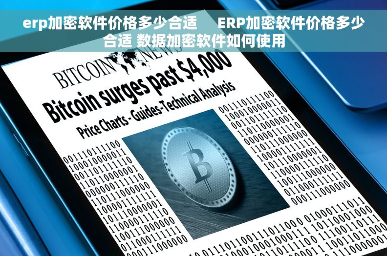erp加密软件价格多少合适     ERP加密软件价格多少合适 数据加密软件如何使用