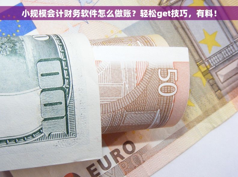 小规模会计财务软件怎么做账？轻松get技巧，有料！
