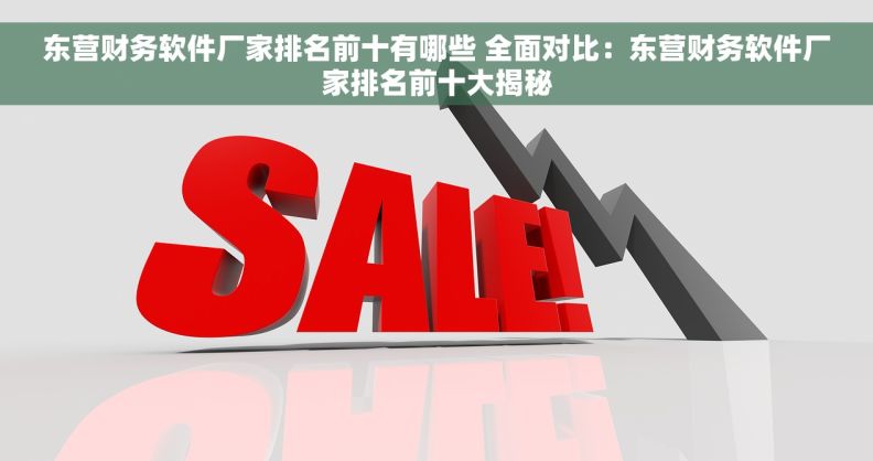东营财务软件厂家排名前十有哪些 全面对比：东营财务软件厂家排名前十大揭秘