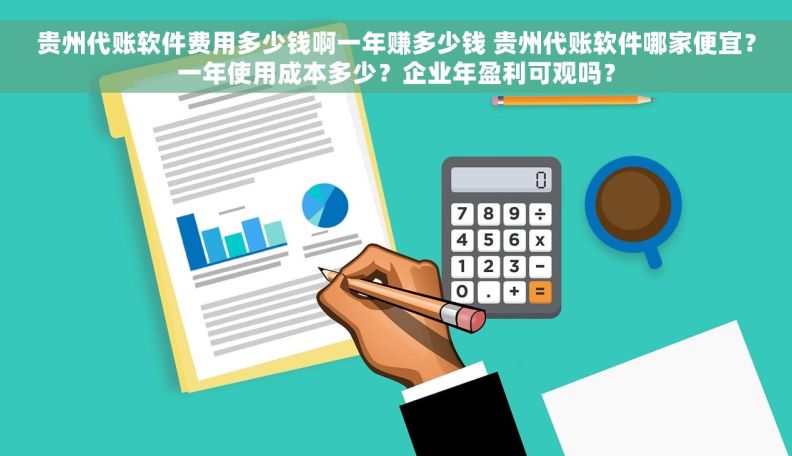贵州代账软件费用多少钱啊一年赚多少钱 贵州代账软件哪家便宜？一年使用成本多少？企业年盈利可观吗？