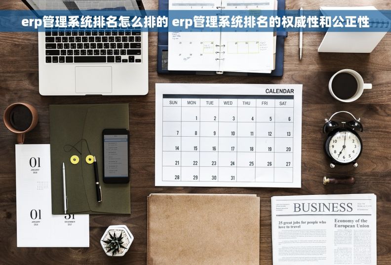 erp管理系统排名怎么排的 erp管理系统排名的权威性和公正性