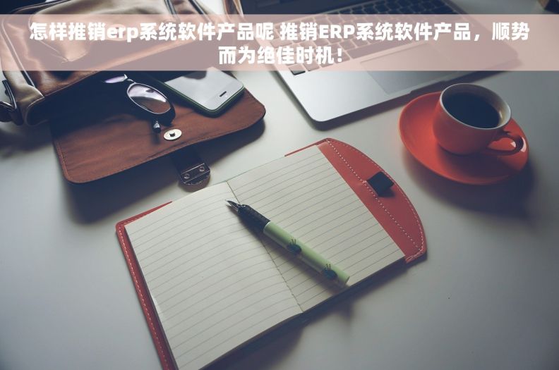 怎样推销erp系统软件产品呢 推销ERP系统软件产品，顺势而为绝佳时机！