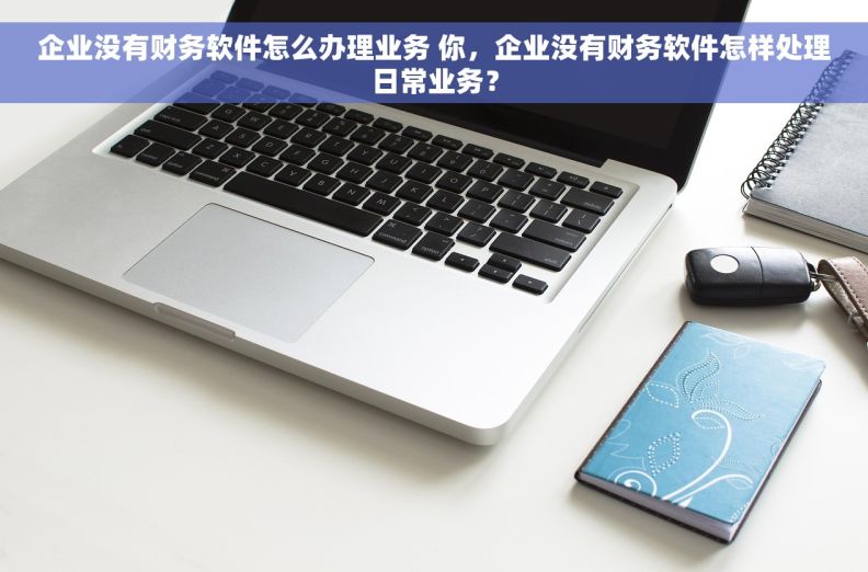 企业没有财务软件怎么办理业务 你，企业没有财务软件怎样处理日常业务？