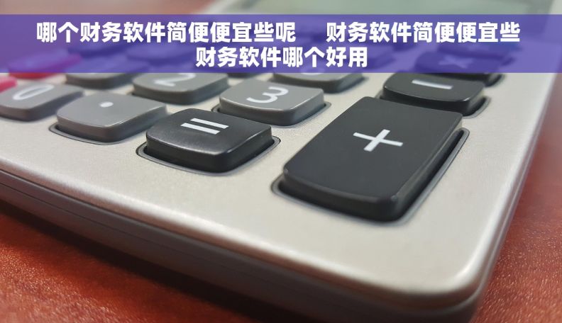 哪个财务软件简便便宜些呢     财务软件简便便宜些 财务软件哪个好用