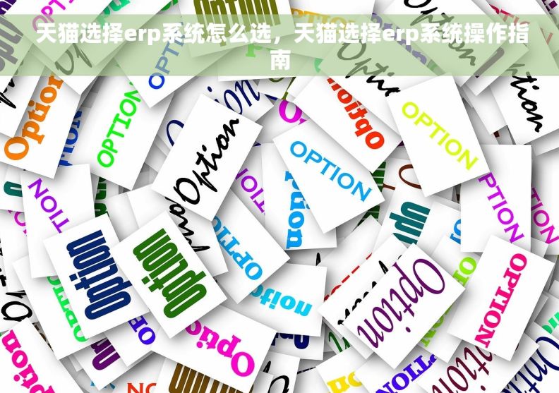  天猫选择erp系统怎么选，天猫选择erp系统操作指南