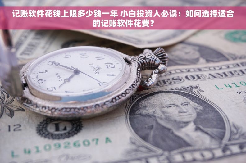 记账软件花钱上限多少钱一年 小白投资人必读：如何选择适合的记账软件花费？