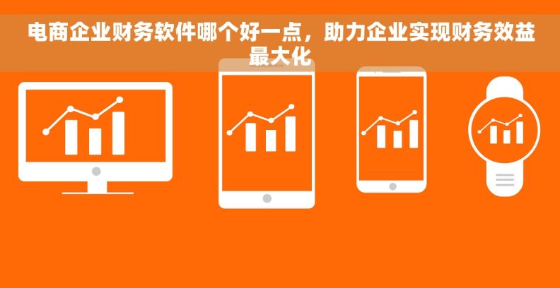 电商企业财务软件哪个好一点，助力企业实现财务效益最大化