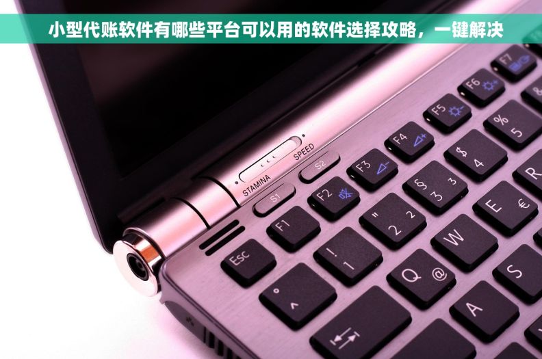   小型代账软件有哪些平台可以用的软件选择攻略，一键解决
