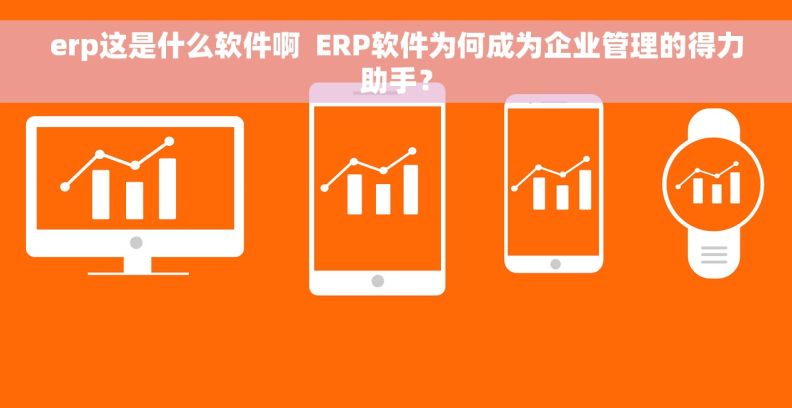 erp这是什么软件啊  ERP软件为何成为企业管理的得力助手？