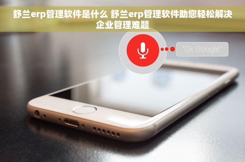 舒兰erp管理软件是什么 舒兰erp管理软件助您轻松解决企业管理难题
