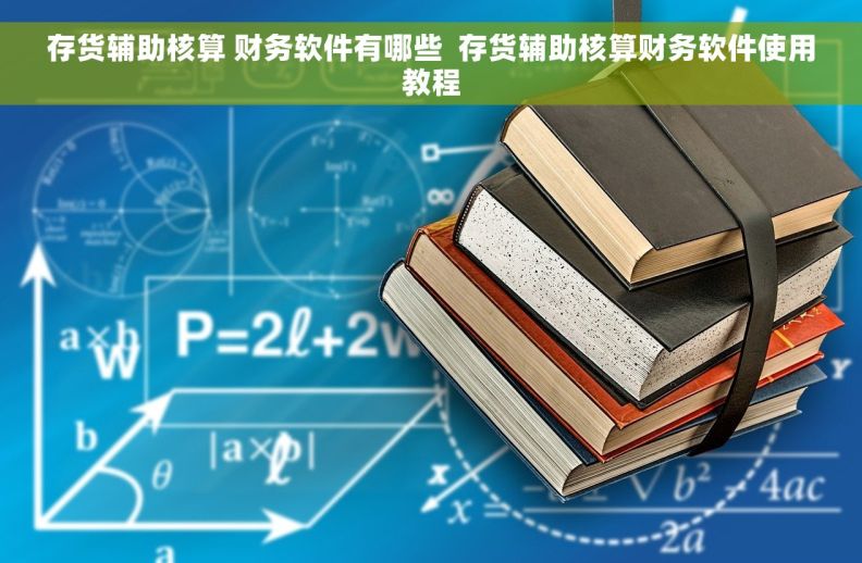 存货辅助核算 财务软件有哪些  存货辅助核算财务软件使用教程