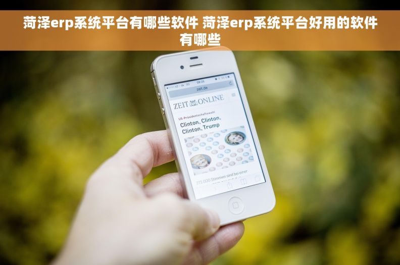 菏泽erp系统平台有哪些软件 菏泽erp系统平台好用的软件有哪些