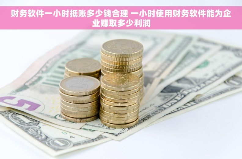 财务软件一小时抵账多少钱合理 一小时使用财务软件能为企业赚取多少利润