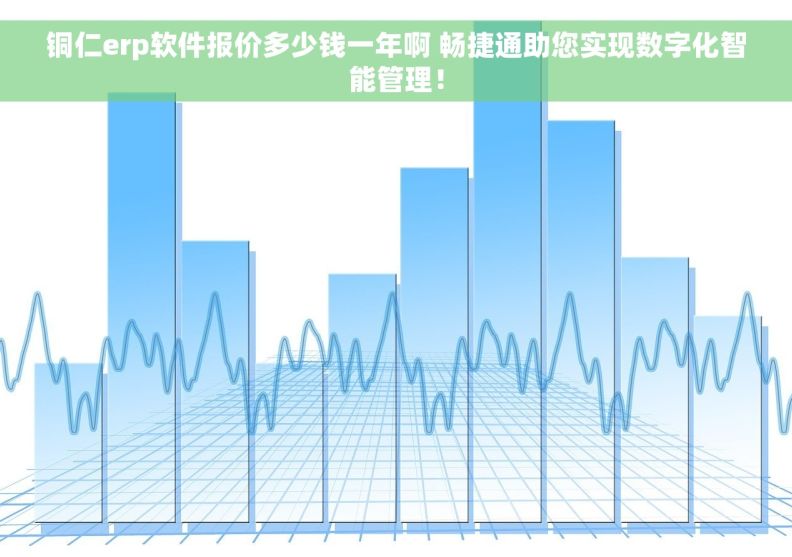 铜仁erp软件报价多少钱一年啊 畅捷通助您实现数字化智能管理！