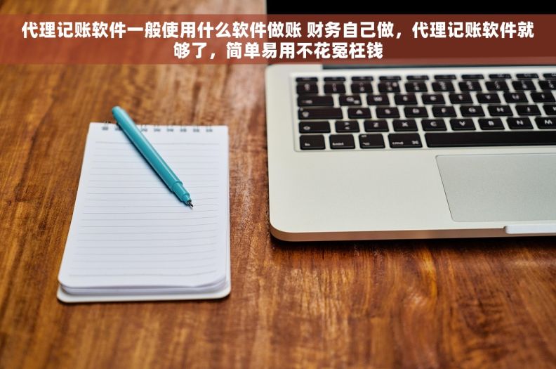 代理记账软件一般使用什么软件做账 财务自己做，代理记账软件就够了，简单易用不花冤枉钱