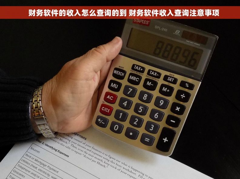     财务软件的收入怎么查询的到 财务软件收入查询注意事项