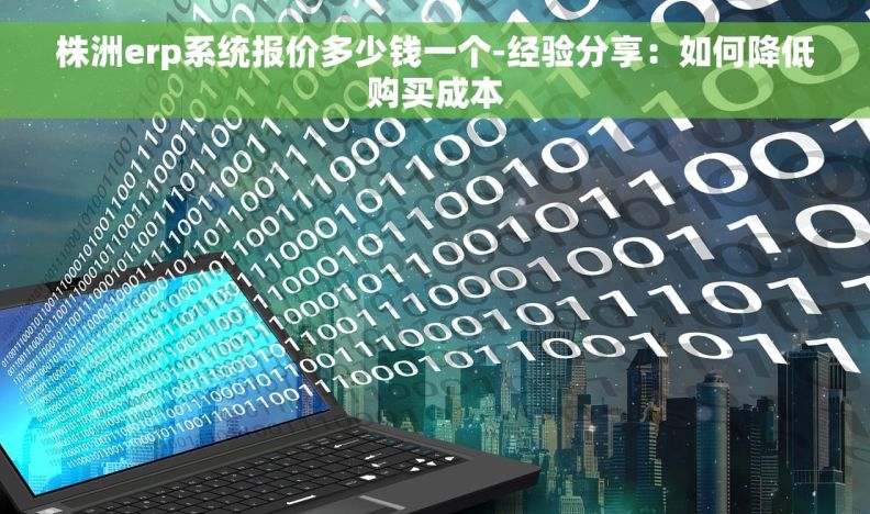 株洲erp系统报价多少钱一个-经验分享：如何降低购买成本