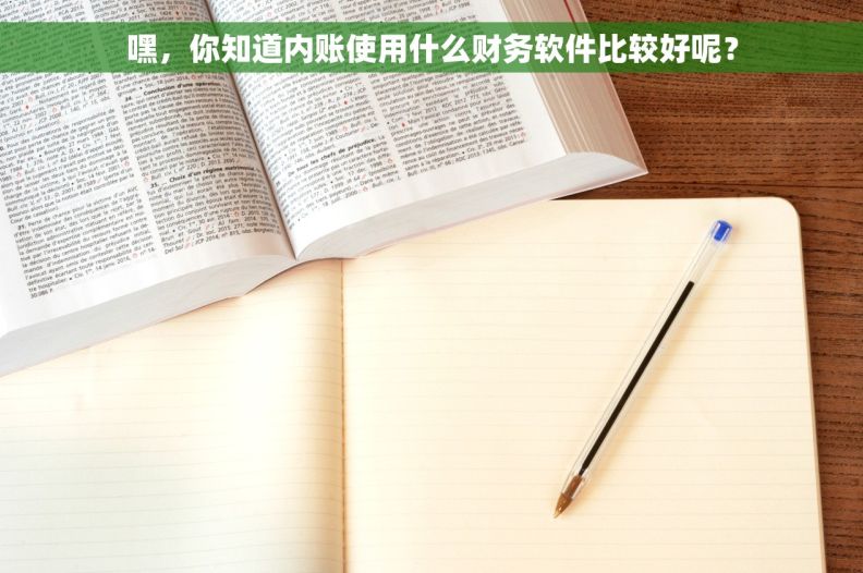 嘿，你知道内账使用什么财务软件比较好呢？