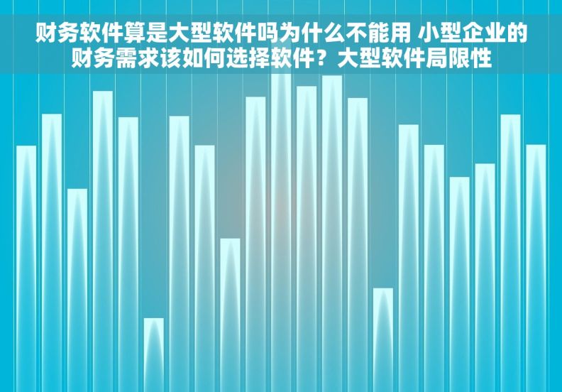 财务软件算是大型软件吗为什么不能用 小型企业的财务需求该如何选择软件？大型软件局限性