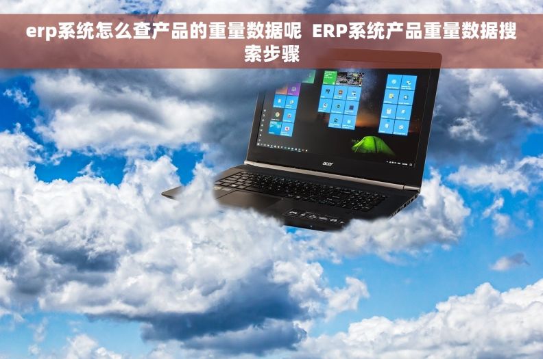 erp系统怎么查产品的重量数据呢  ERP系统产品重量数据搜索步骤