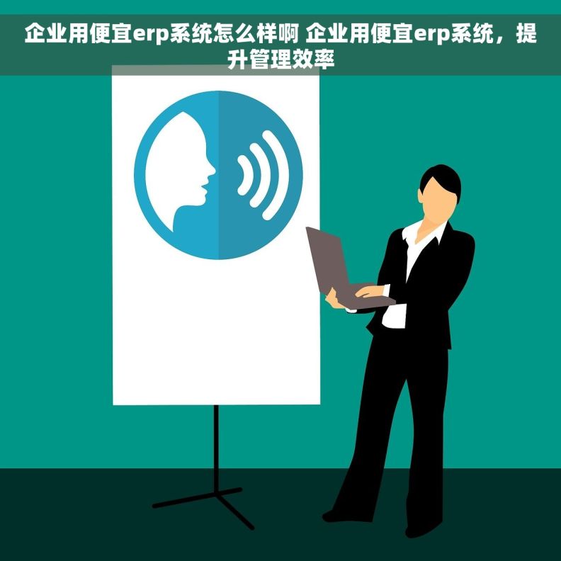 企业用便宜erp系统怎么样啊 企业用便宜erp系统，提升管理效率