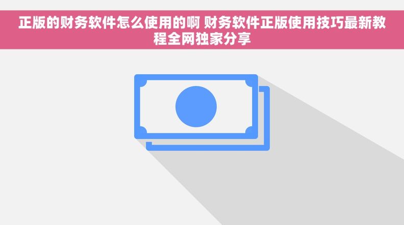 正版的财务软件怎么使用的啊 财务软件正版使用技巧最新教程全网独家分享