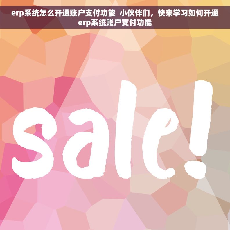 erp系统怎么开通账户支付功能  小伙伴们，快来学习如何开通erp系统账户支付功能