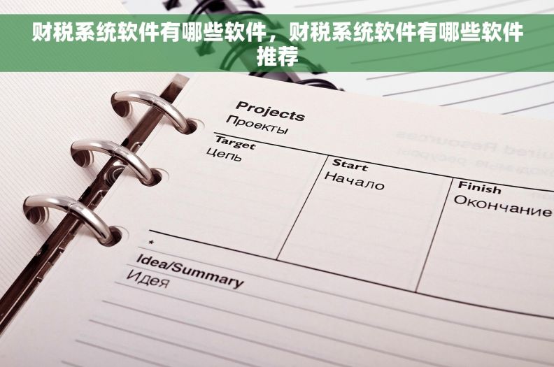 财税系统软件有哪些软件，财税系统软件有哪些软件推荐